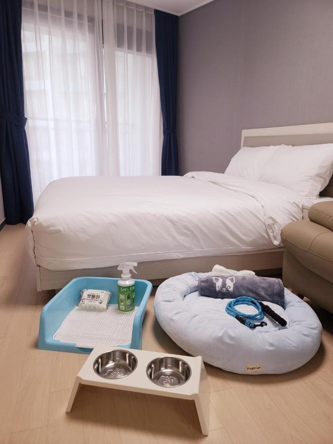 Risen Ocean Park Hotel Sokcho Extérieur photo