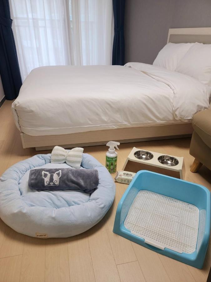 Risen Ocean Park Hotel Sokcho Extérieur photo